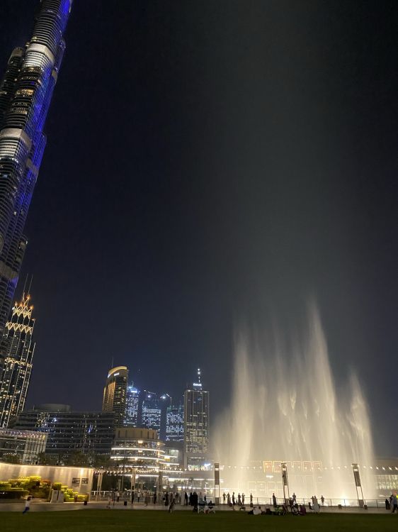 body of water, night, fountain, nature, tower block