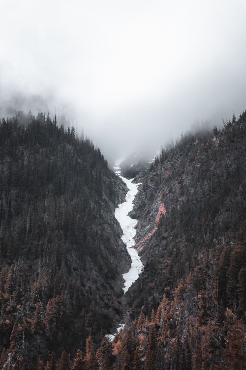 wilderness, banff, cloud, mountain, slope