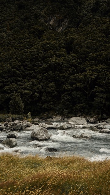 Image nature, water, natural landscape, stream, river