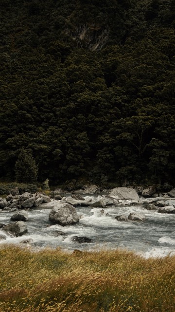 Image nature, water, natural landscape, stream, river