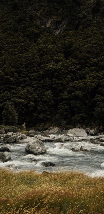 Image nature, water, natural landscape, stream, river