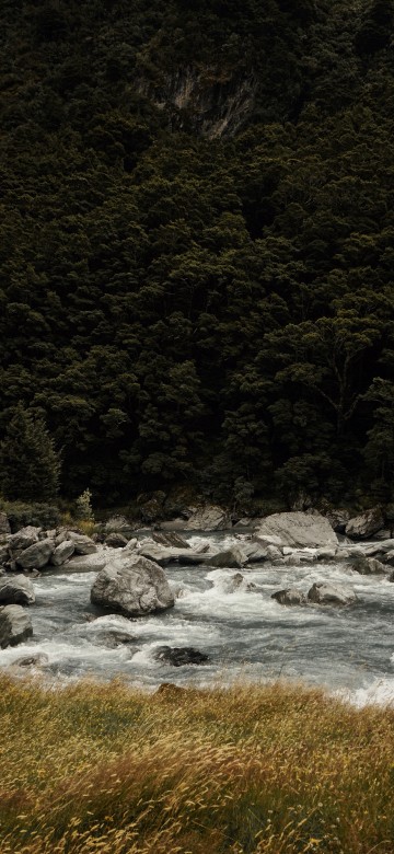 Image nature, water, natural landscape, stream, river