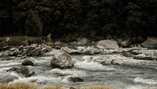 Image nature, water, natural landscape, stream, river