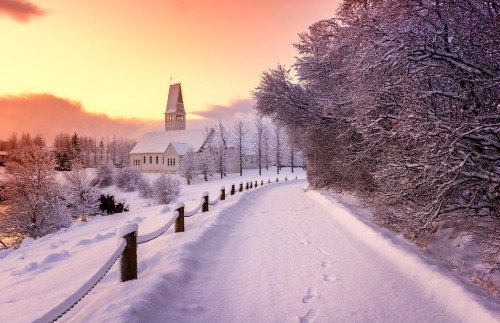 Image snow covered road near trees and building during daytime