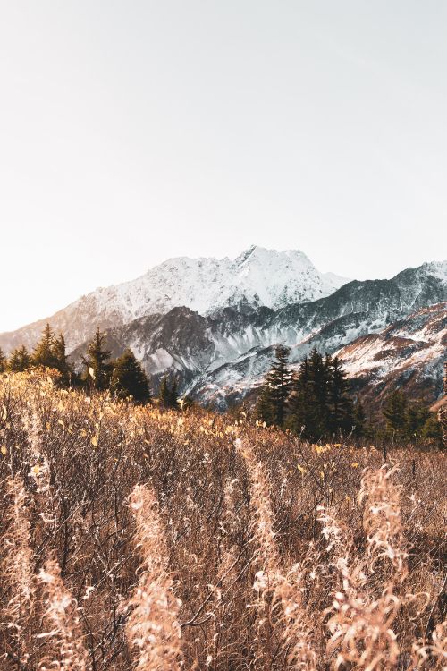 mountain, mountainous landforms, M-tree, highland, snow