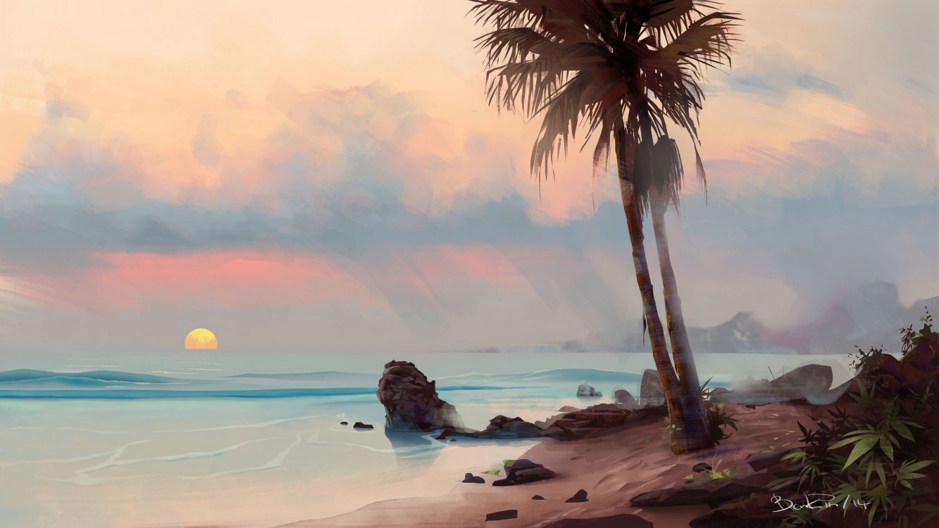 palm tree on beach shore during sunset