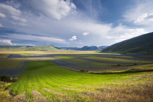 Image green grass field under blue sky during daytime