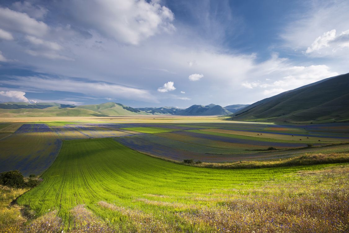 green grass field under blue sky during daytime