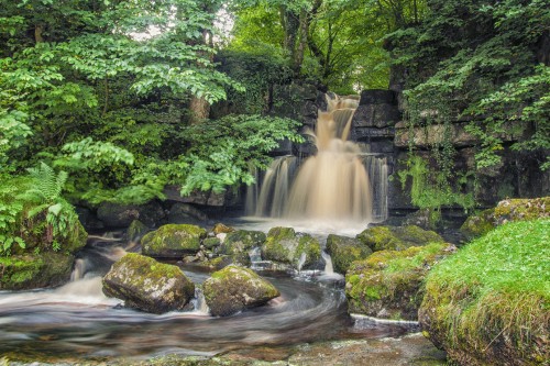 Image nature, waterfall, old growth forest, tree, water