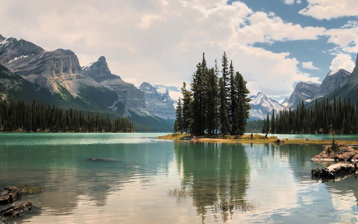 green pine trees near lake and mountains during daytime