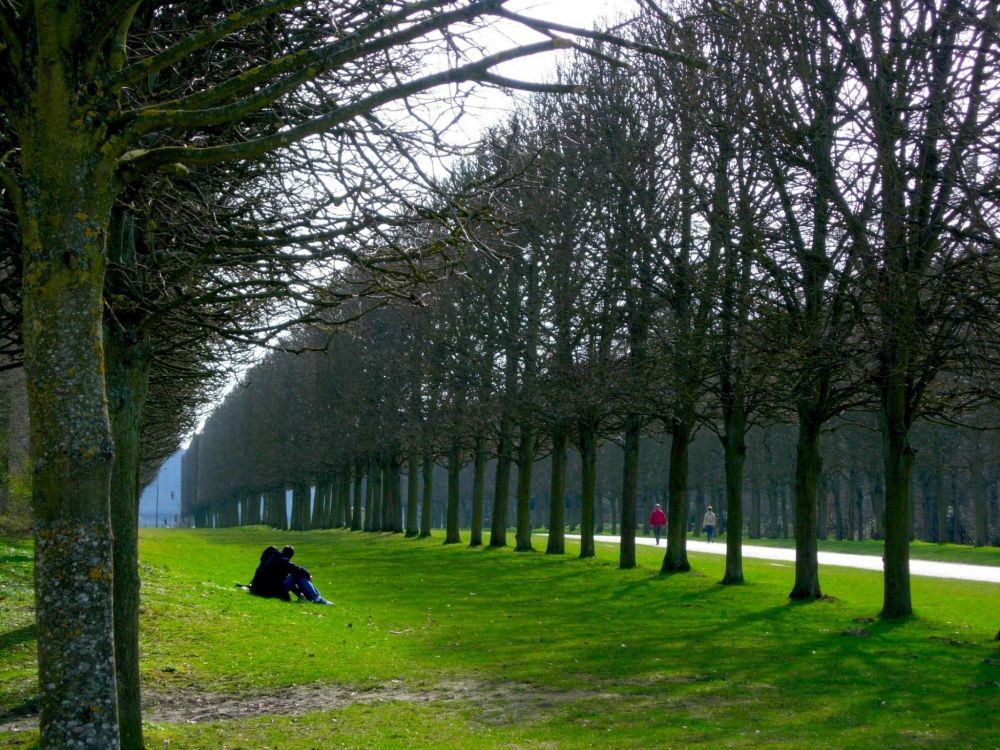 Personne en Veste Noire Assise Sur L'herbe Verte Entourée D'arbres Pendant la Journée. Wallpaper in 2048x1536 Resolution