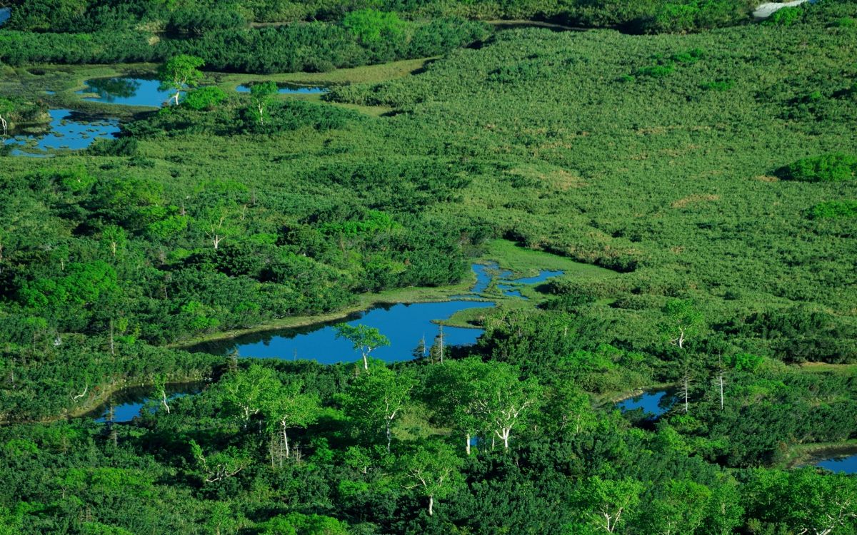 Campo de Hierba Verde Cerca Del Lago Durante el Día. Wallpaper in 2560x1600 Resolution