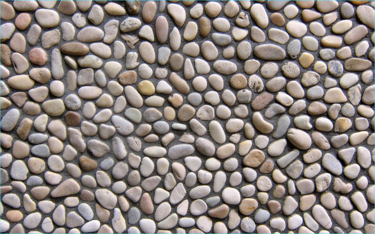 brown and gray stones on gray ground