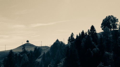 Image winter, mountain, wilderness, morning, black