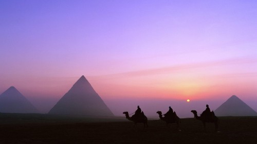 Image silhouette of people sitting on ground during sunset