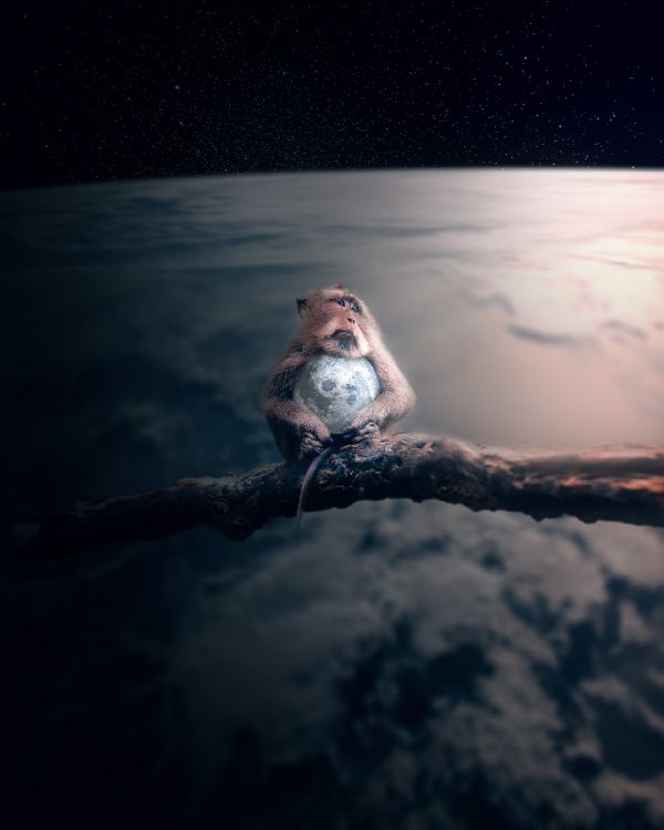 气氛, 空间, 冷静, 大海, 海洋 壁纸 1920x2400 允许