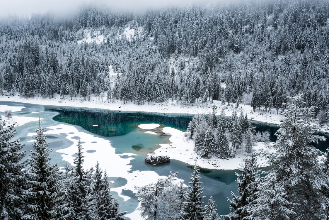 Árboles Cubiertos de Nieve y Lago. Wallpaper in 3000x2003 Resolution