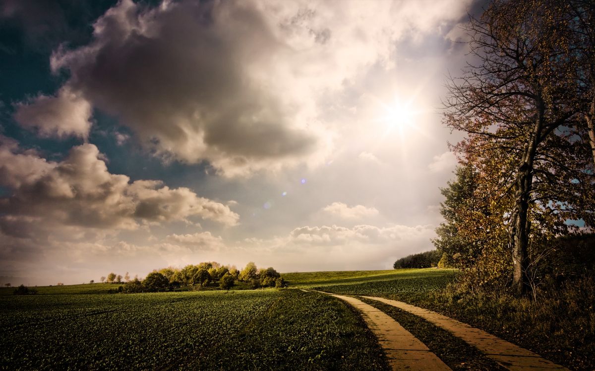 Champ D'herbe Verte Sous Les Nuages Blancs et le Ciel Bleu Pendant la Journée. Wallpaper in 2560x1600 Resolution