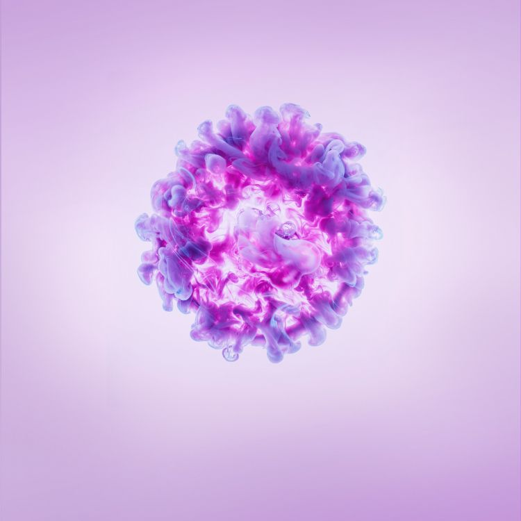 Huawei Nova, Huawei Nova 2, 智能手机, 华为nova 3i, 安卓 壁纸 2160x2160 允许