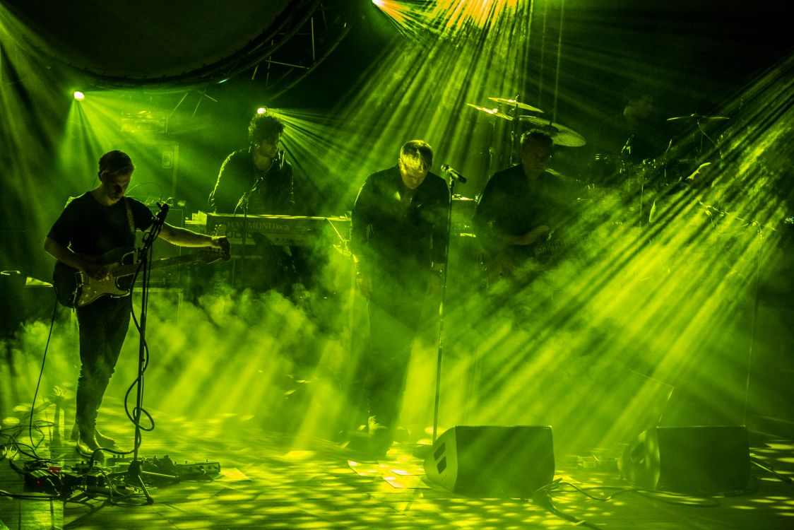 性质, 绿色的, 草, 视觉效果, 工厂 壁纸 2500x1667 允许