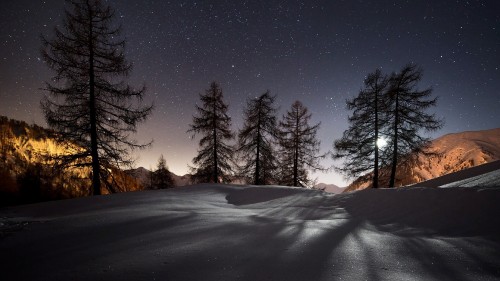 Image snow covered field and trees during night time