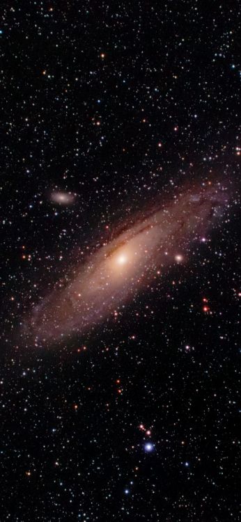 Andromeda-Galaxie, Milchstraße, Astronomie, Spiralgalaxie, Universum. Wallpaper in 1080x2340 Resolution