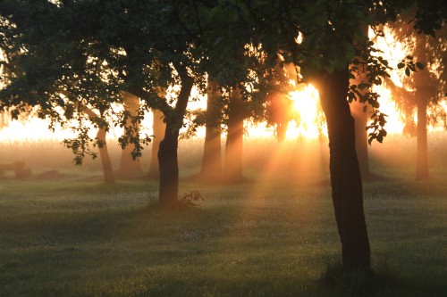 Image woman standing on green grass field during sunset