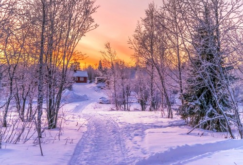 Image snow covered road between bare trees during sunset