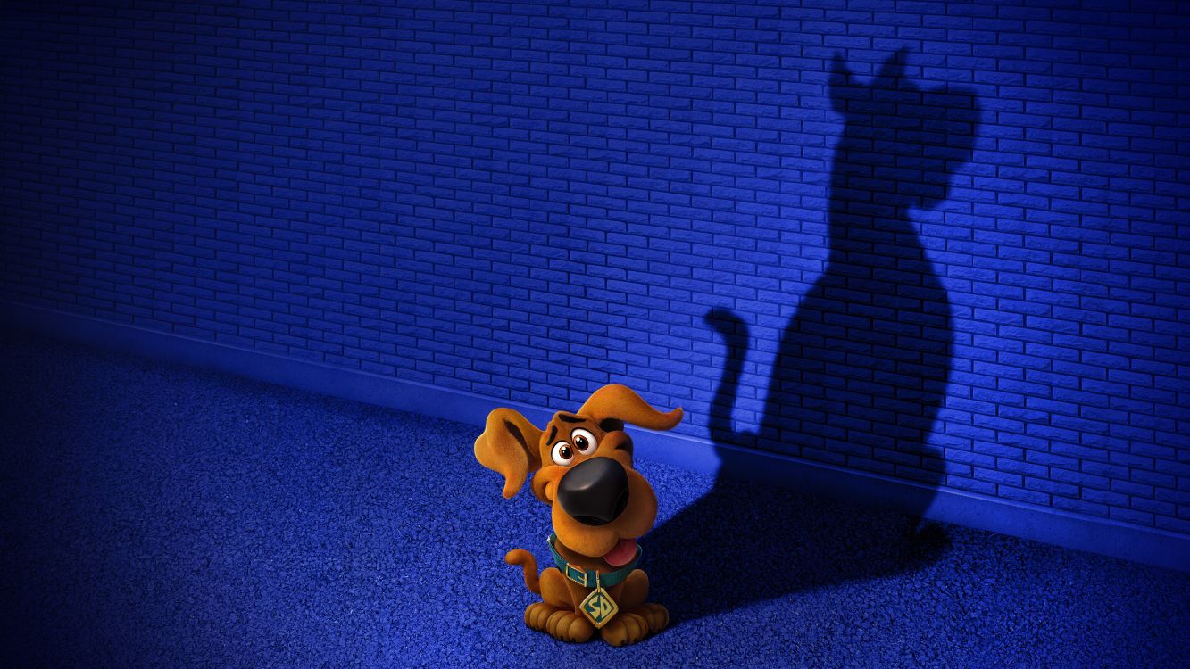 Scooby Doo, Velma Dinkley, Warner Bros Images, Animation, Blue. Wallpaper in 5120x2880 Resolution