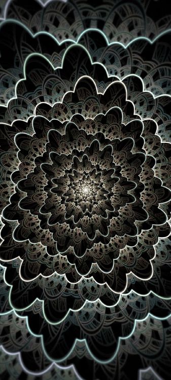 Museo de Bellas Artes Boston, Arte Fractal, Luz, Naturaleza, Negro. Wallpaper in 1080x2400 Resolution