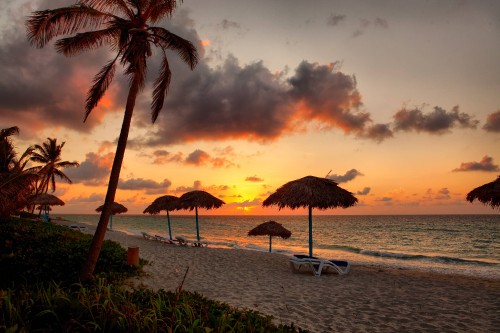 Image beach umbrellas on beach during sunset