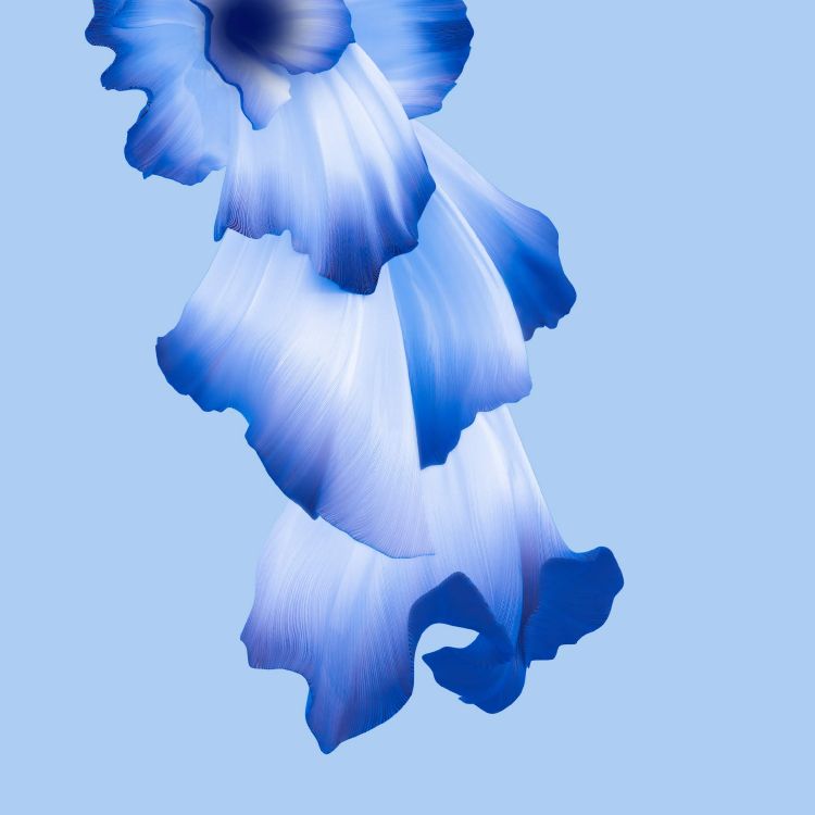 Huawei, Huawei Honor 20, Huawei Ehre 20 Pro, Ehre 20 Pro, Smartphone. Wallpaper in 2340x2340 Resolution