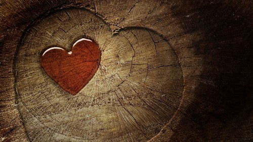 Image heart, wood, love, organ, tree