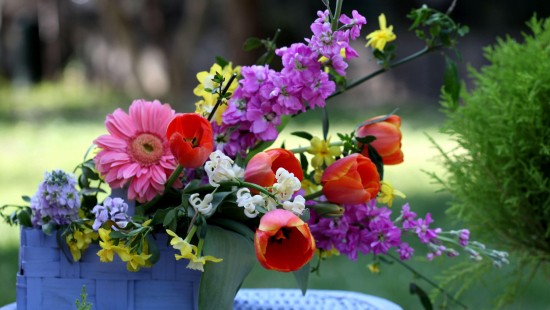 Image red and purple flowers in blue vase