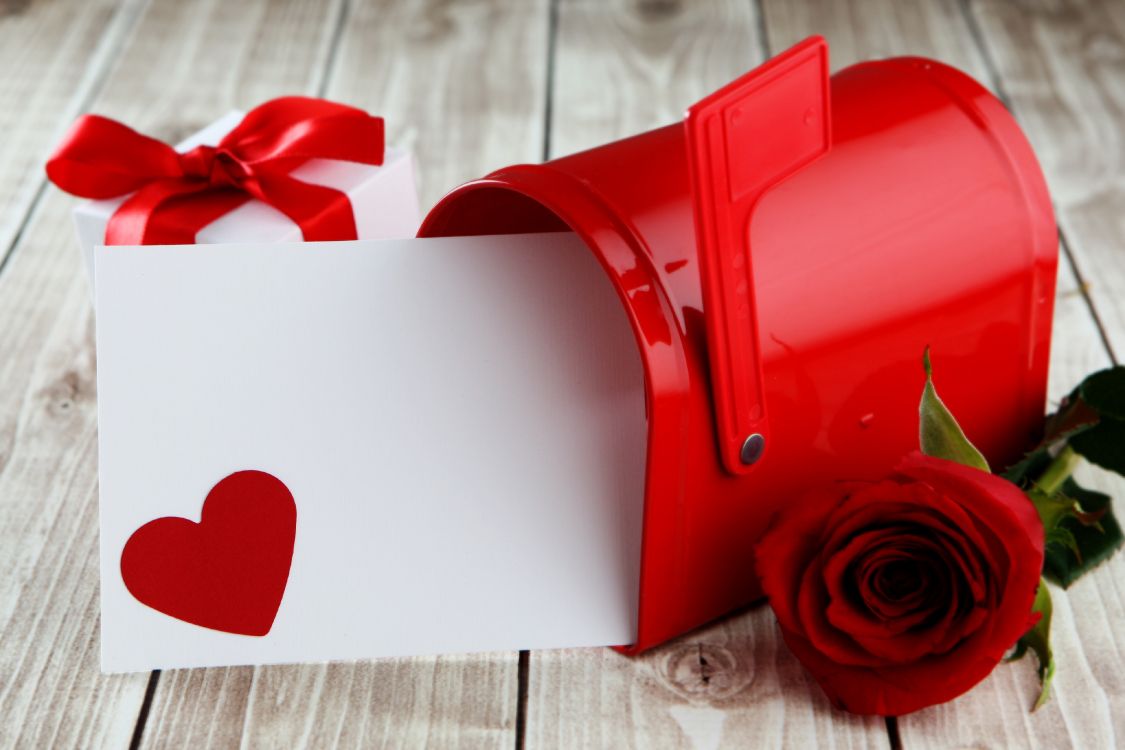 valentines day, heart, red, ribbon, love