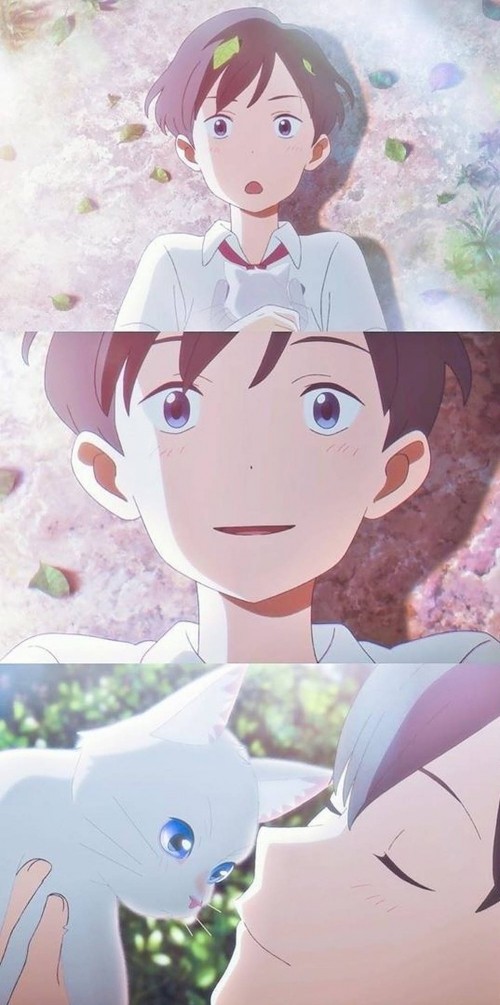 Image whisker away hinode and taro, miyo sasaki, animated cartoon, kento hinode, cartoon