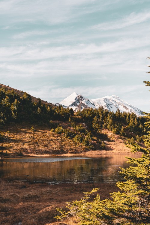 Image nature, highland, wilderness, reflection, vegetation