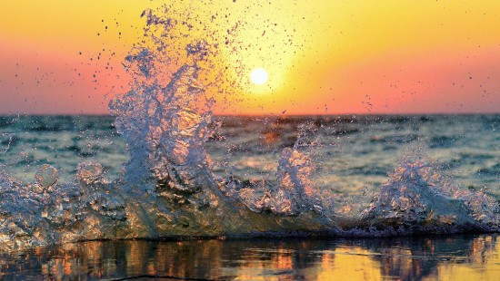 Image brown tree trunk on water during sunset