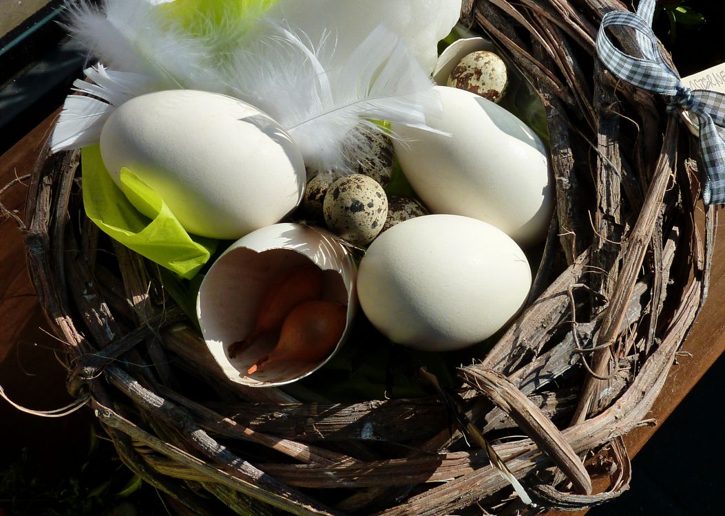 Osterei, Ei, Vogel Nest, Nest, Lebensmittel. Wallpaper in 2596x1848 Resolution