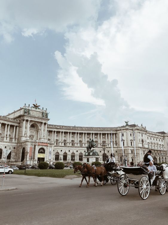 Palais Impérial de Hofburg, Les Attelages de Chevaux, Cheval et Buggy, Roue, Pack Animal. Wallpaper in 2878x3838 Resolution