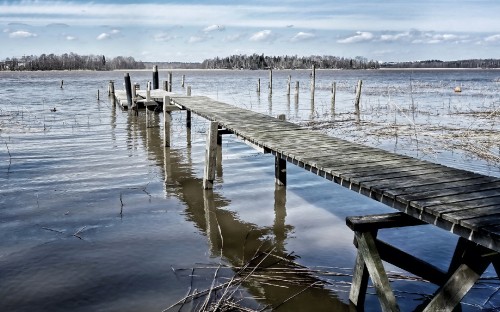 Image brown wooden dock on body of water during daytime