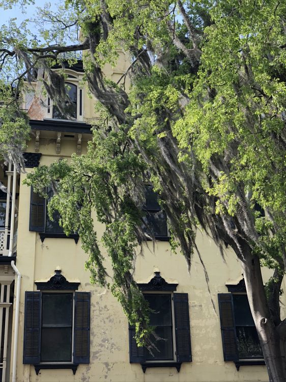 Immobilier, Fenêtre, Propriété, Façade, Bâtiment. Wallpaper in 1536x2048 Resolution