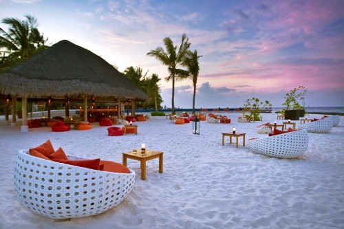 Image white and brown beach chairs and palm trees on beach during daytime