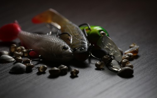 Image silver and orange fish on brown wooden chopping board