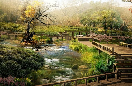 Image river between trees during daytime