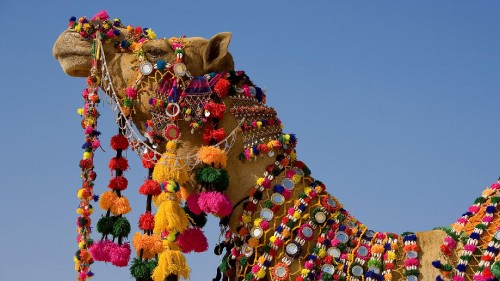 Image brown bear with balloons on tree