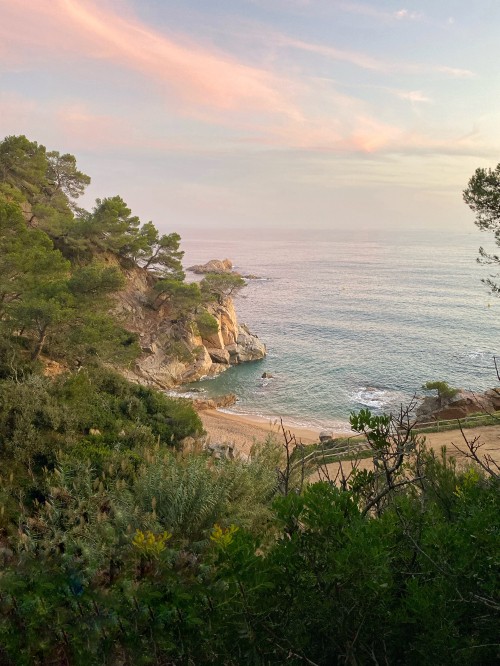 Image coast, vegetation, shore, ocean, bank