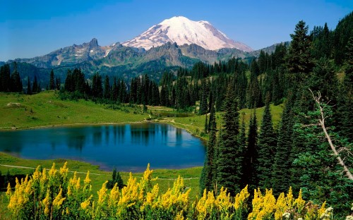 Image green pine trees near lake and snow covered mountain during daytime