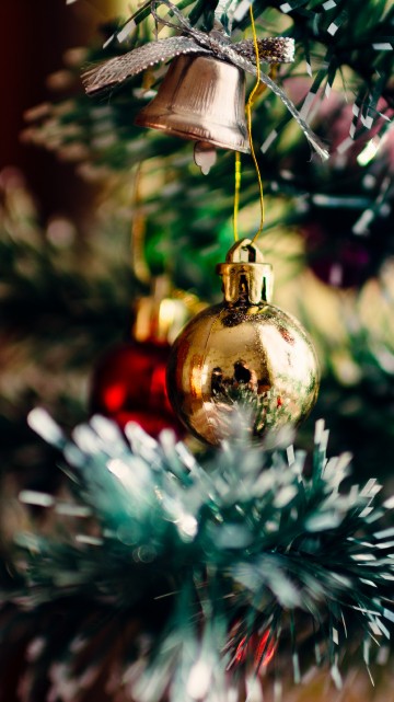 Image christmas and holiday season, Christmas Day, holiday, christmas tree, christmas ornament