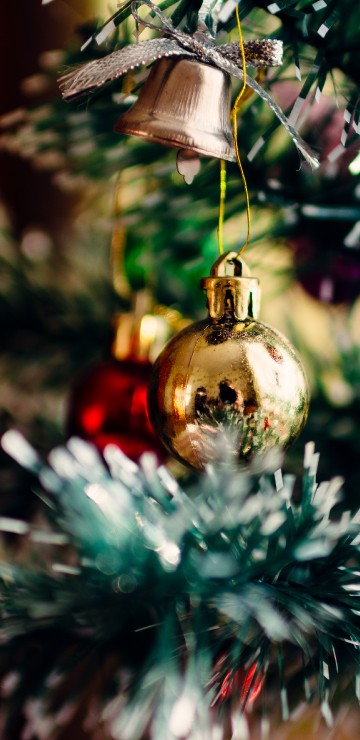 Image christmas and holiday season, Christmas Day, holiday, christmas tree, christmas ornament